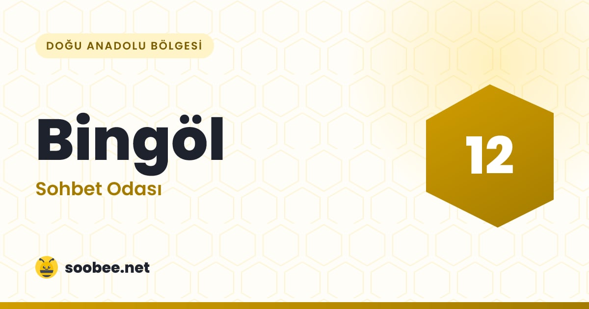 Bingöl Sohbet — oda görseli