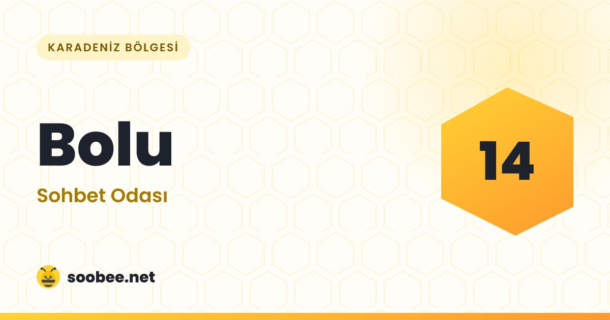 Bolu Sohbet — oda görseli