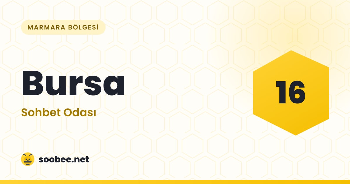 Bursa Sohbet — oda görseli