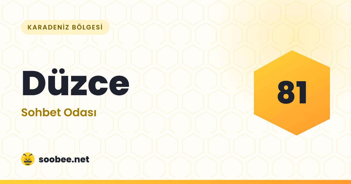 Düzce Sohbet — oda görseli