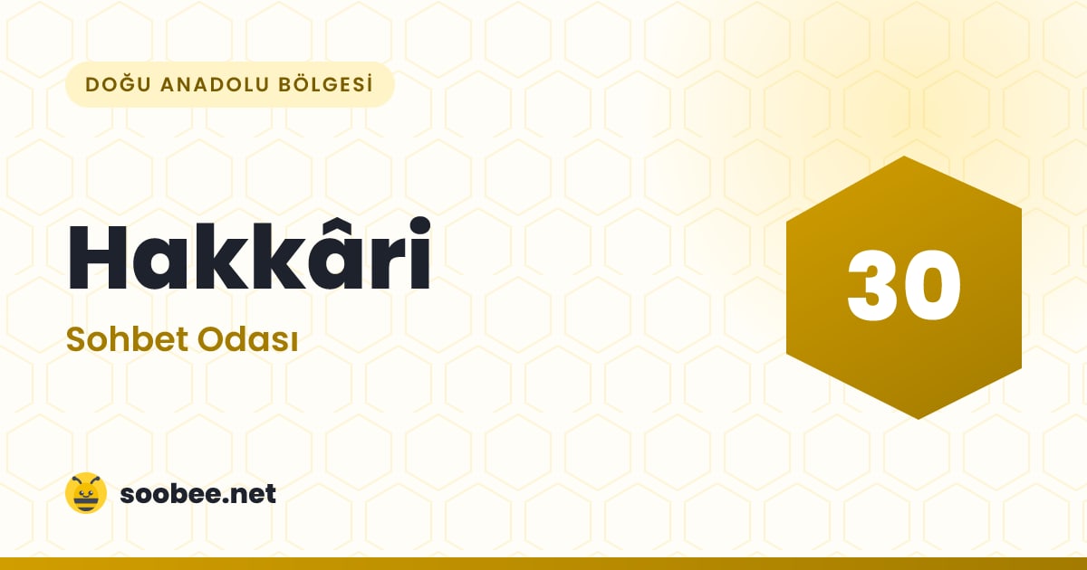 Hakkâri Sohbet — oda görseli