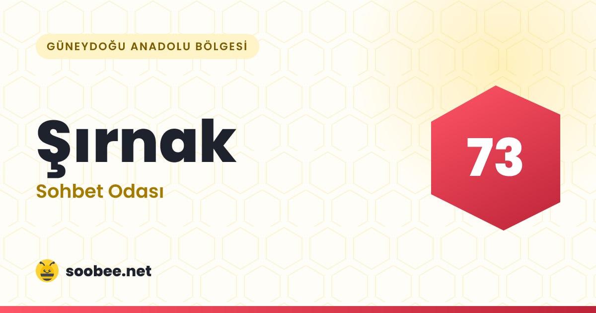 Şırnak Sohbet — oda görseli